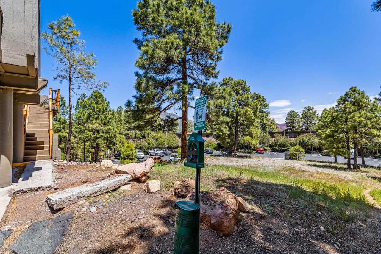 Delightful 1 Bdrm Country Club Retreat With Mt Elden Views! Βίλα Φλάγκσταφ Εξωτερικό φωτογραφία